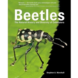 BEETLES