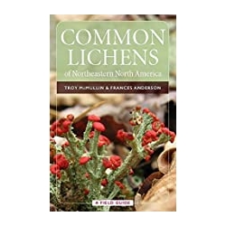 Common Lichens of Northeastern North America