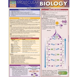 Molecular Biology