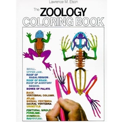 Zoology Coloring Book