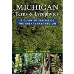 Michigan Ferns and Lycophytes