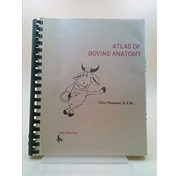 Atlas of Bovine Anatomy