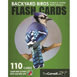 Backyard Birds Flash Cards - Eastern and Central North America