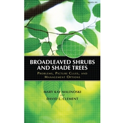 BROADLEAVED SHRUBS & SHADE TREES :PROBLEMS, PICTURE CLUES