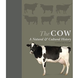 The Cow