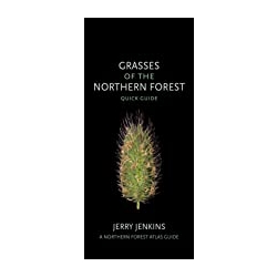 Grasses of the Northern Forest