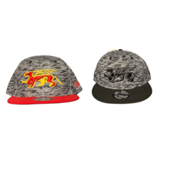 Gryphons New Era Flat Brim Hat