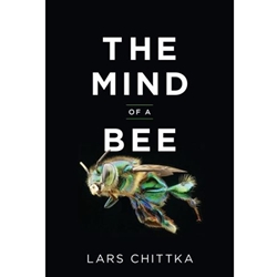 The Mind of a Bee