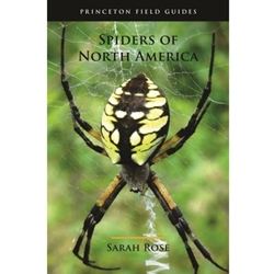 Spiders of North America