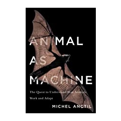 Animal As Machine