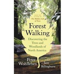 Forest Walking
