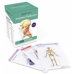 Anatomy Flashcards