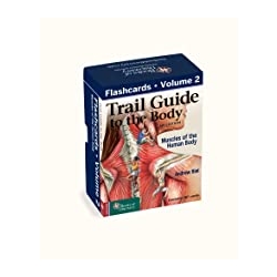 Trail Guide to the Body 6e Flashcards, Volume 2