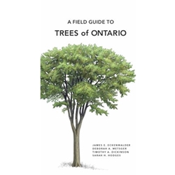 A Field Guide to Trees of Ontario