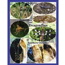 Life Size Damselflies and Dragonflies of Southern Ontario