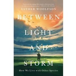 Between Light and Storm