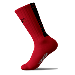 Red Gryphons Performance Socks