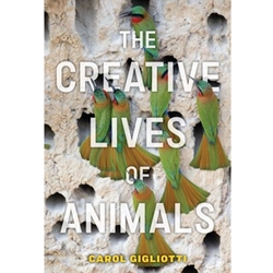 The Creative Lives of Animals