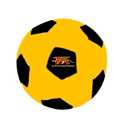 Soccer Chew Toy