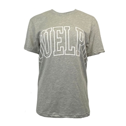 Grey Guelph Boxy Tee