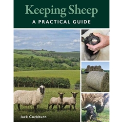 Keeping Sheep