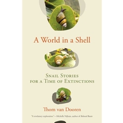 A World in a Shell