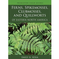 Ferns, Spikemosses, Clubmosses, and Quillworts of Eastern North America