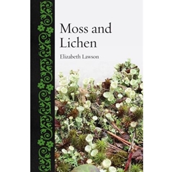 Moss and Lichen