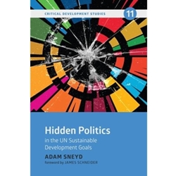 HIDDEN POLITICS IN THE UN