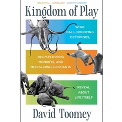 Kingdom of Play