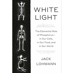 White Light