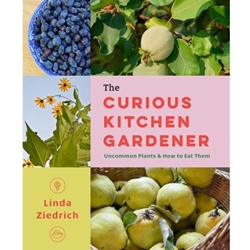 The Curious Kitchen Gardener