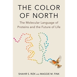 Color of North