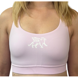 lululemon Gryphon Lululemon Energy Bra Medium Support B-D Cup - Pink Organza