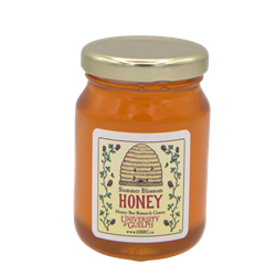 165G Glass Jar Honey