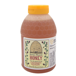 500G Squeeze Jar Honey