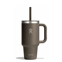 Hydro Flask 32 oz All Around Travel Tumbler with Straw Lid - Sandpiper