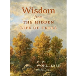 Wisdom from the Hidden Life of Trees