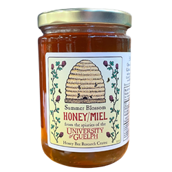500g Glass Jar Honey