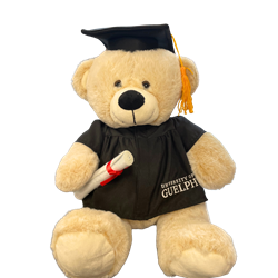 Gemstone Grad Bear 13"