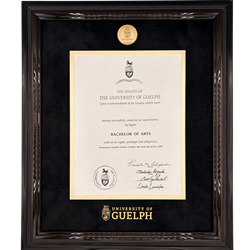 Gryphon Crest Medallion Degree Frame - Black