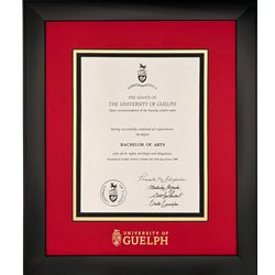 Infused Black Degree Frame